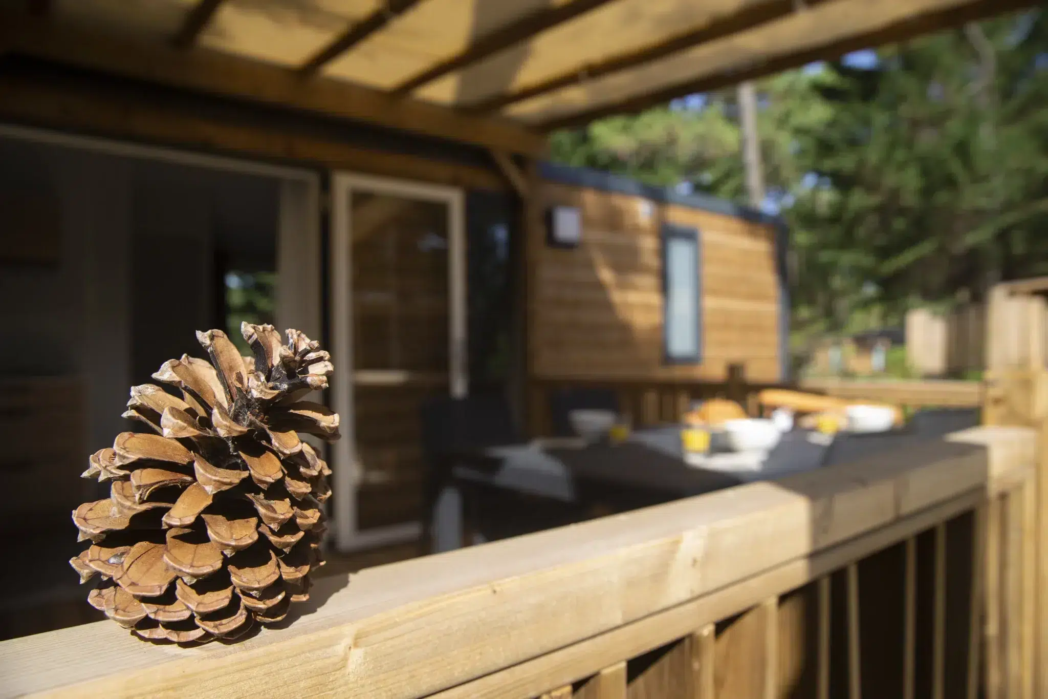 camping ecoresponsable vendée