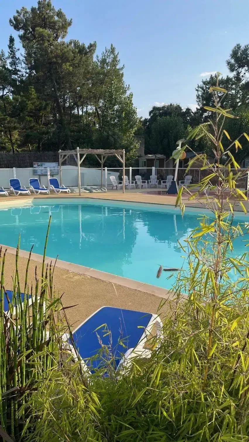 bassin piscine