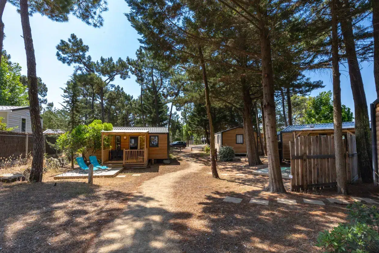 camping ushuaia la conge