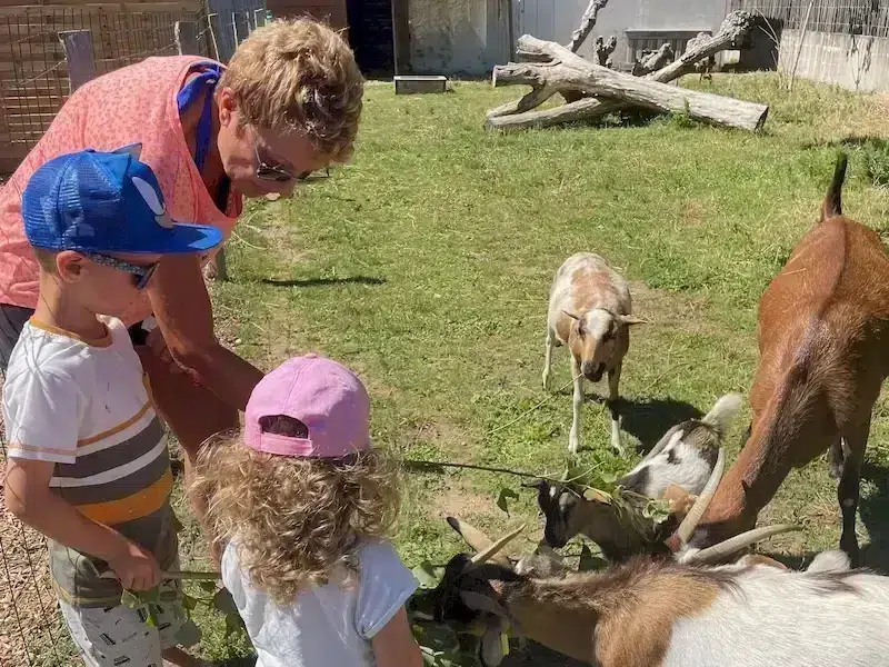 minifarm camping the conge vendee
