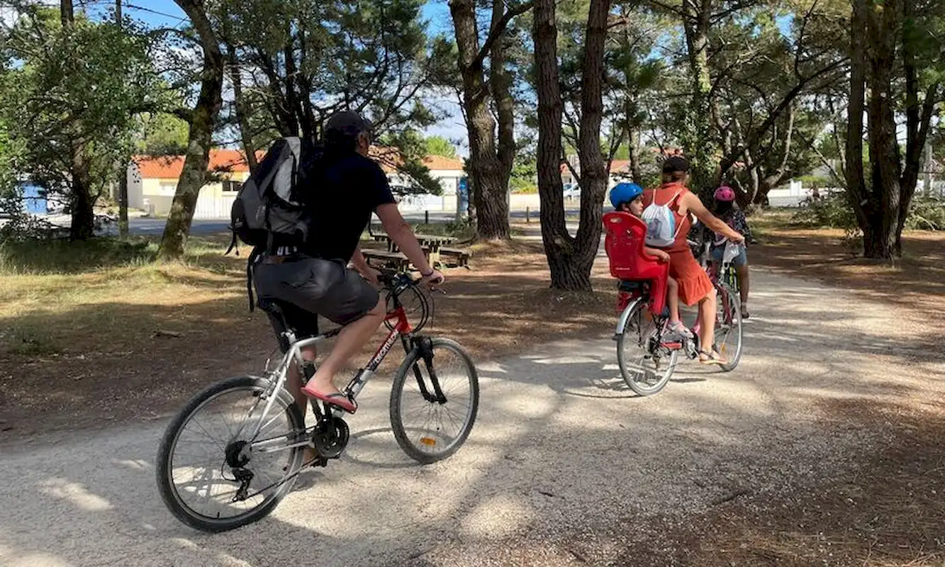 promenade foret pays des monts