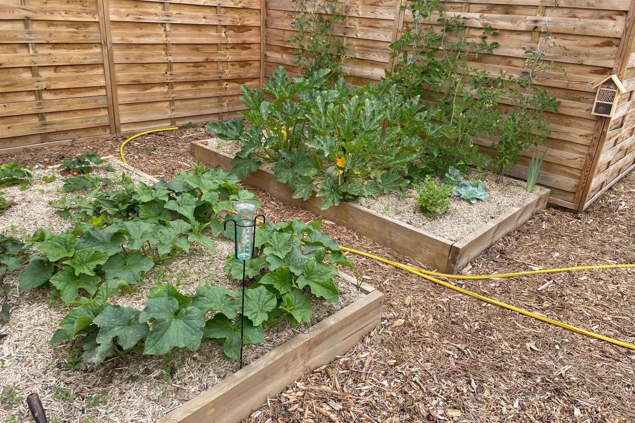 Le potager au camping la conge vendée