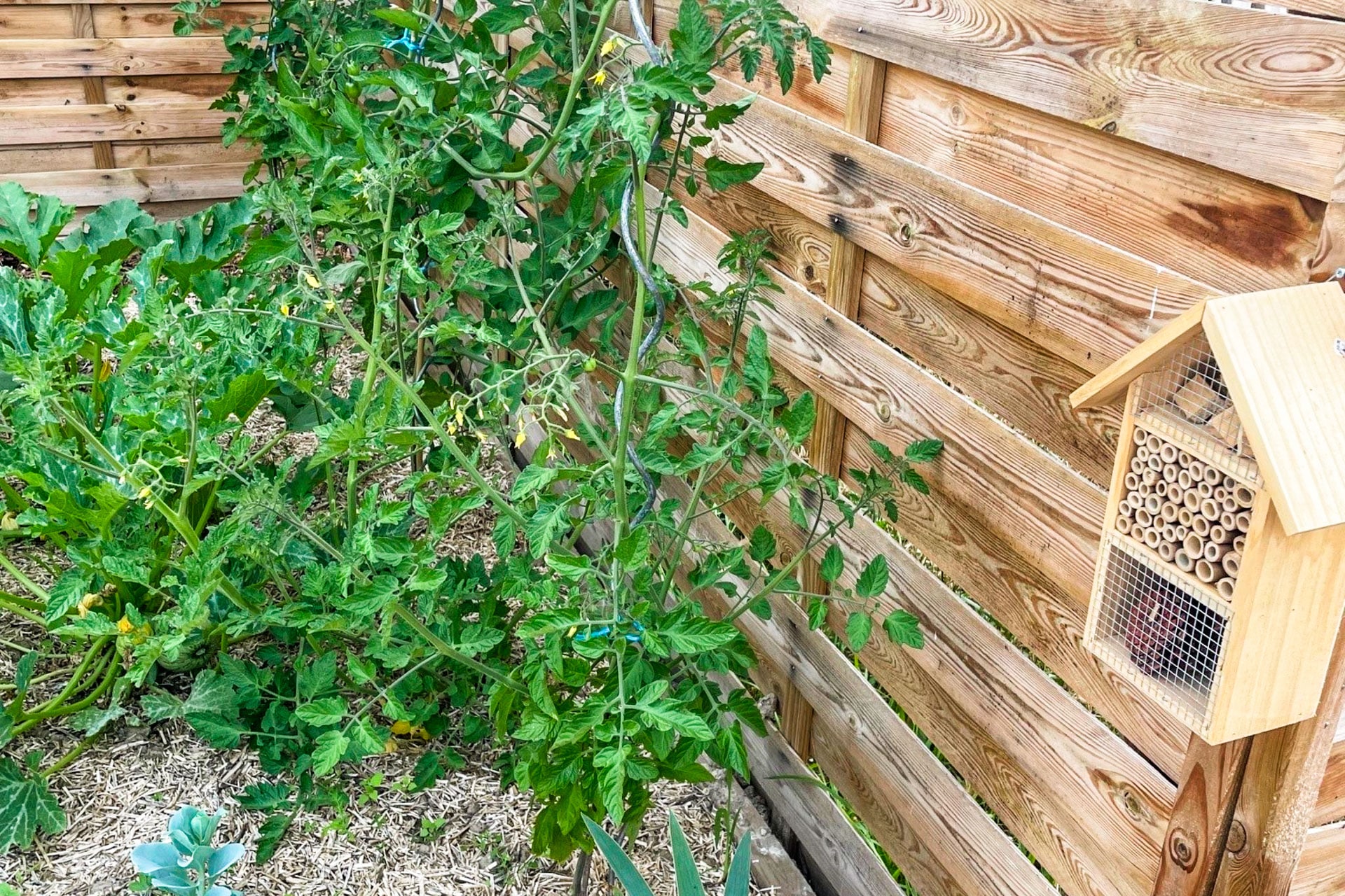 biodiversité en vendée