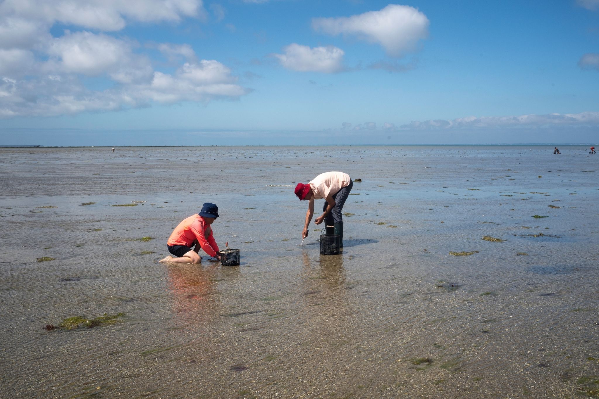 peche à pied vendée
