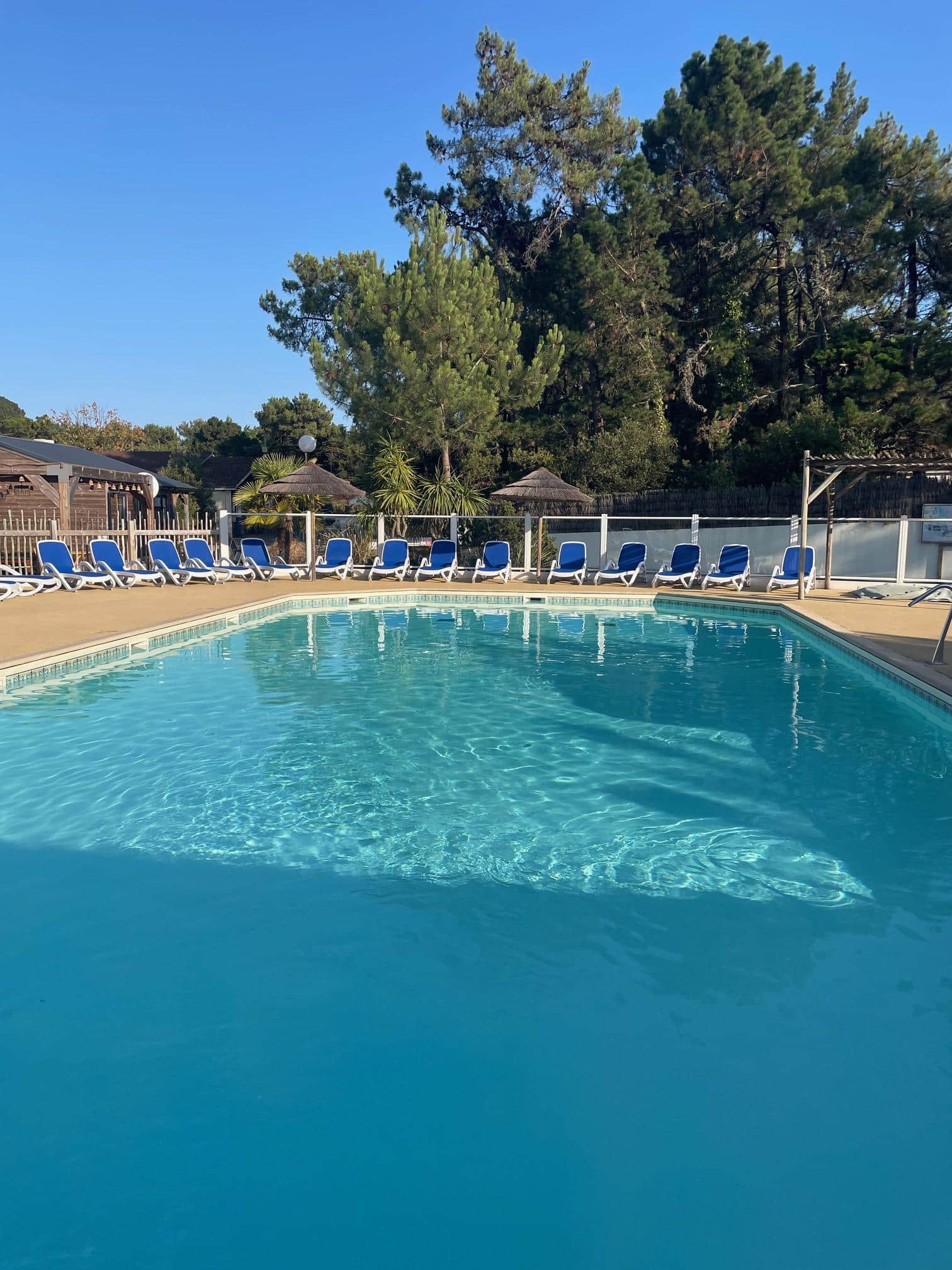 Piscine transats camping la conge