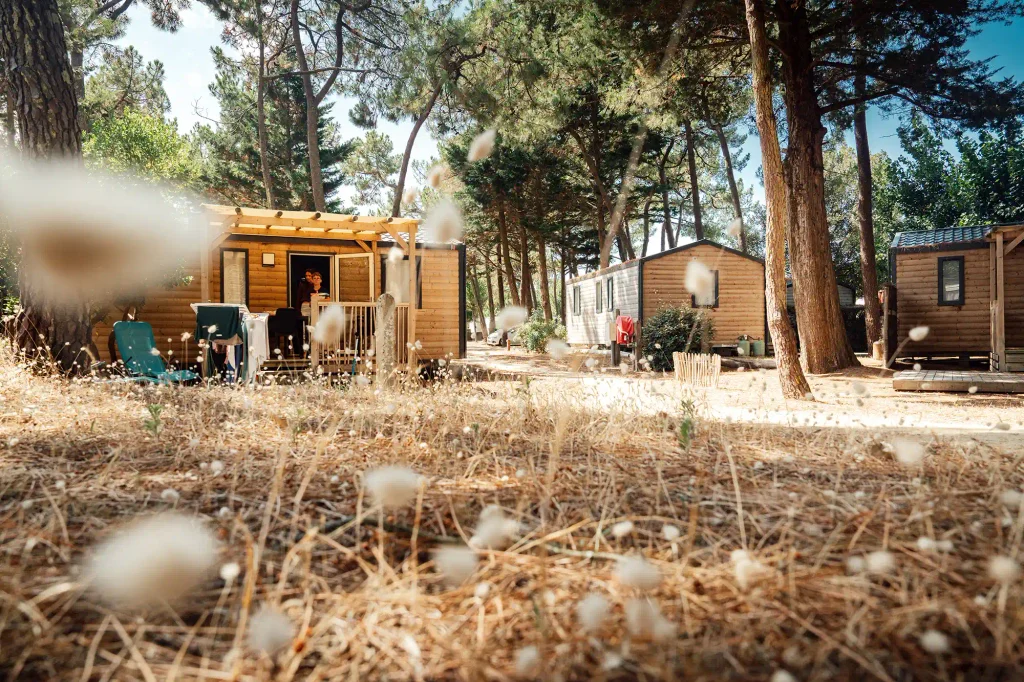 quartier des mh modulo duo bois la conge st hilaire de riez